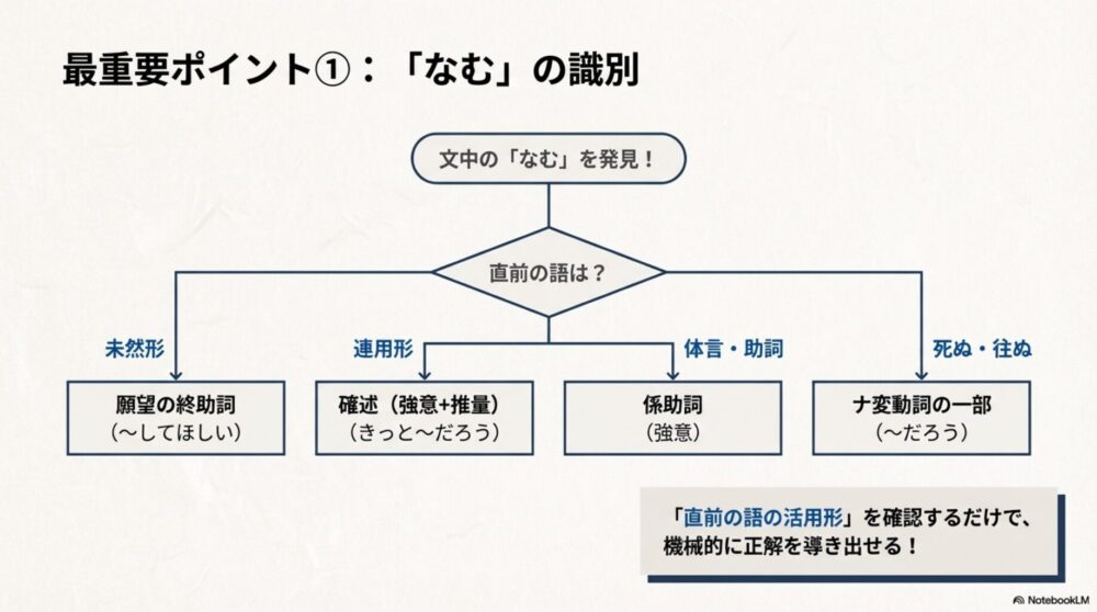 古文の「なむ」を識別するためのフローチャート図。直前の語が「未然形・連用形・体言・死ぬ往ぬ」のどれかを確認することで、願望・確述・係助詞・ナ変動詞に分類する方法を図解。