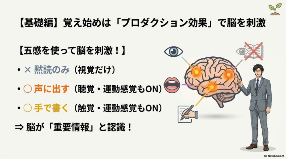 目読だけでなく、声に出す・書くことで脳の複数領域が活性化するイメージ図