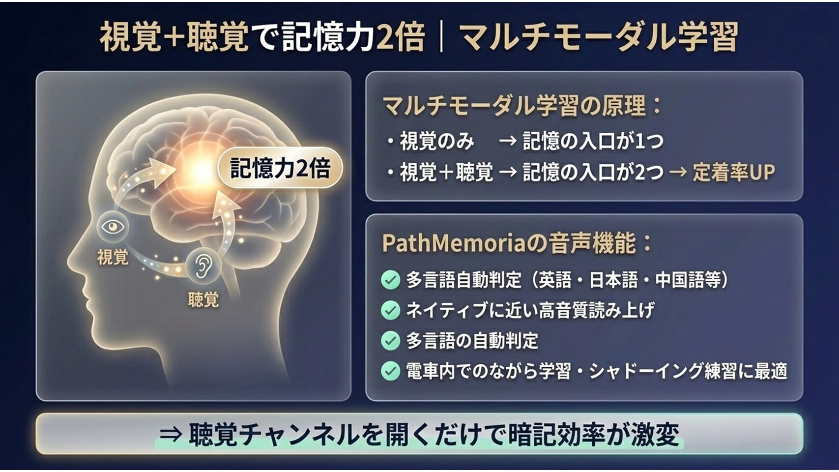 視覚と聴覚の両チャンネルで情報をインプットするマルチモーダル学習の効果を示した図解