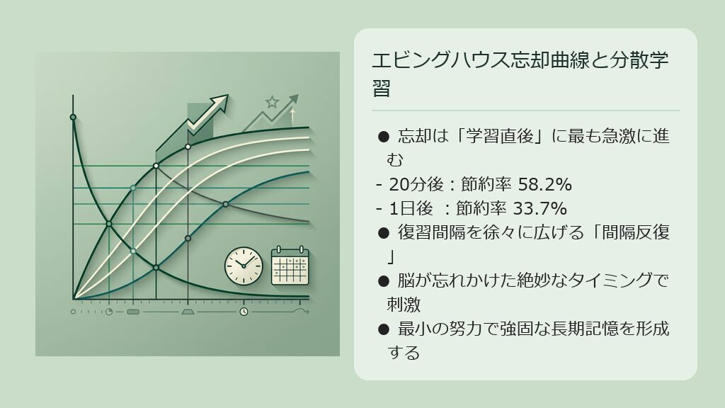 エビングハウス忘却曲線と分散学習