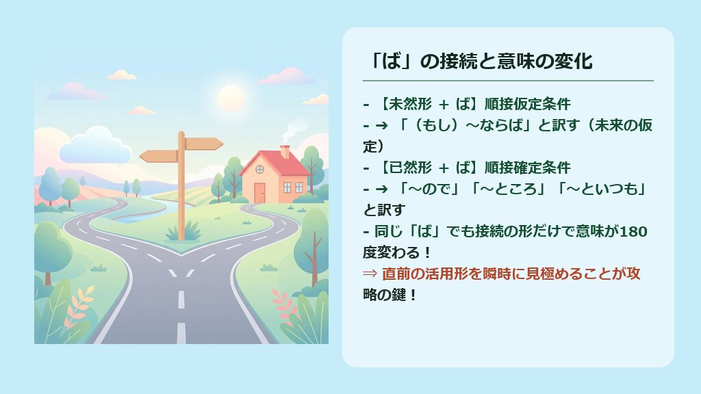 未然形+ば(順接仮定条件・もし〜なら)と已然形+ば(順接確定条件〜ので・〜ところ)の意味の違いを比較した図解スライド