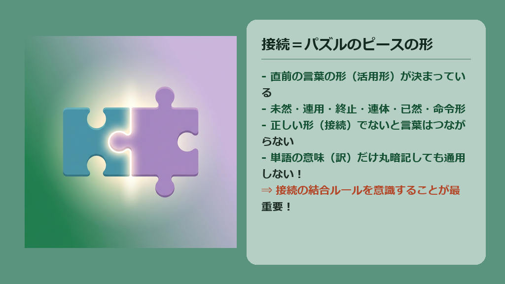 直前の語の活用形(未然、連用等)と助詞の接続関係をパズルのピースに例えて説明した図解スライド