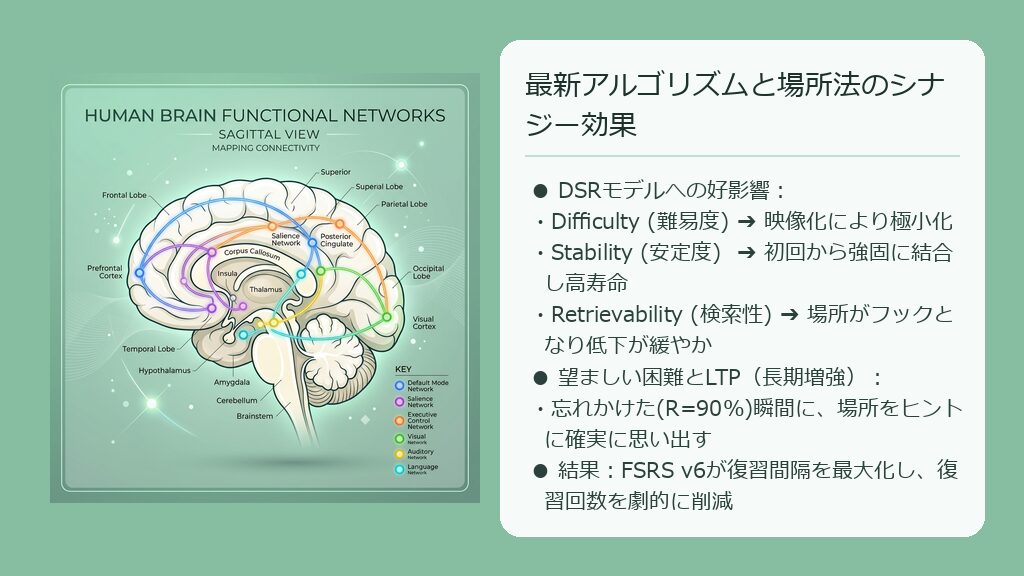 場所法による強固な定着がDSRモデルの変数を好転させ、FSRS v6によって最小限の復習回数で長期記憶化する仕組みを示した概念図